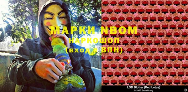 шишки Бронницы